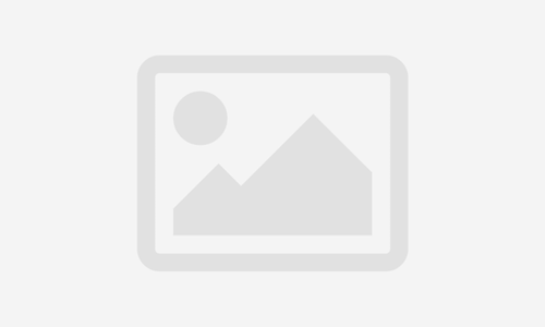 Networking Aviturismo